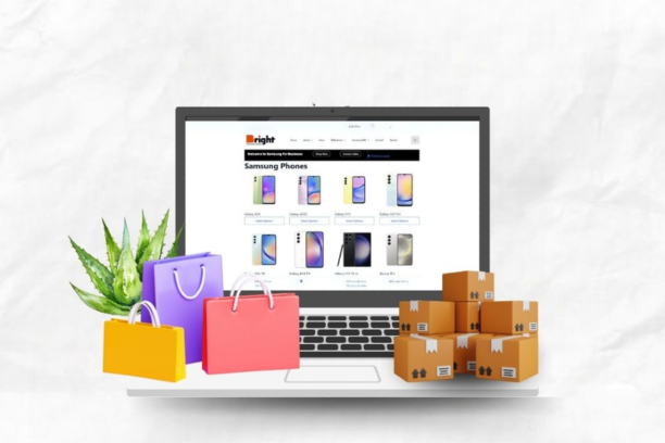 e-commerce Websites
